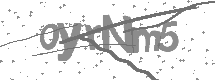 visual captcha